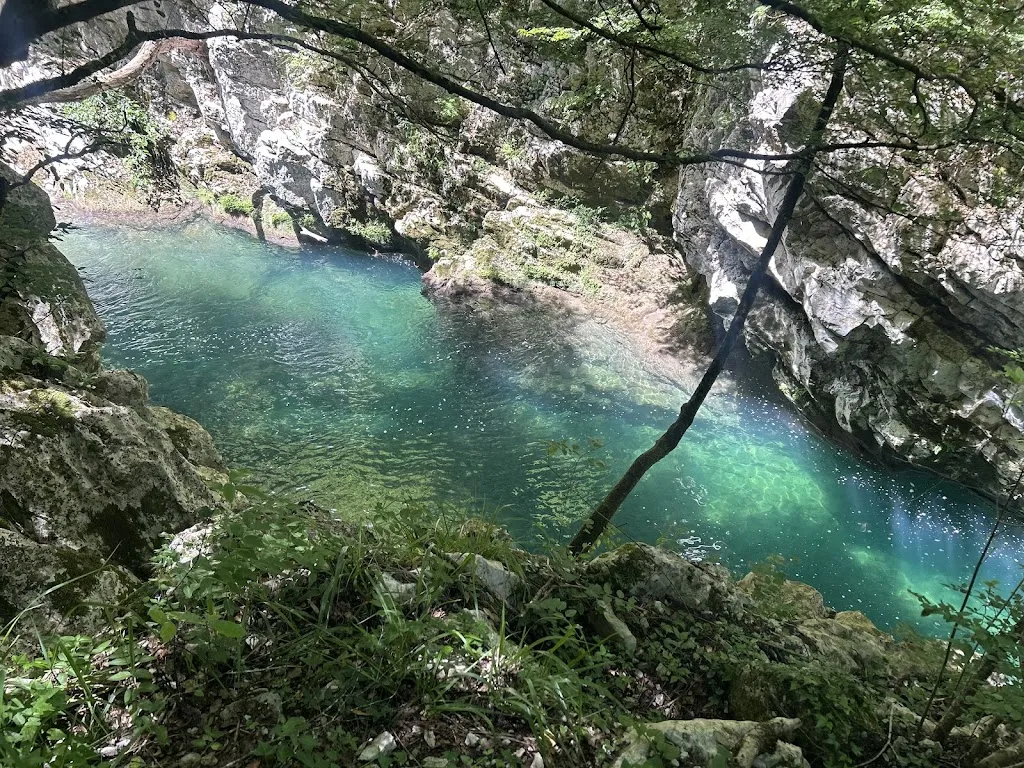 Roxana Muraru_Ristorante Di Mauro Oristanio_Felitto_review