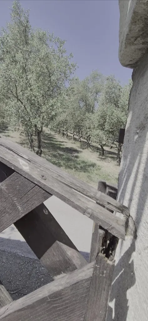 sara maf_Azienda Agrituristica Petrilli_Flumeri_recensione