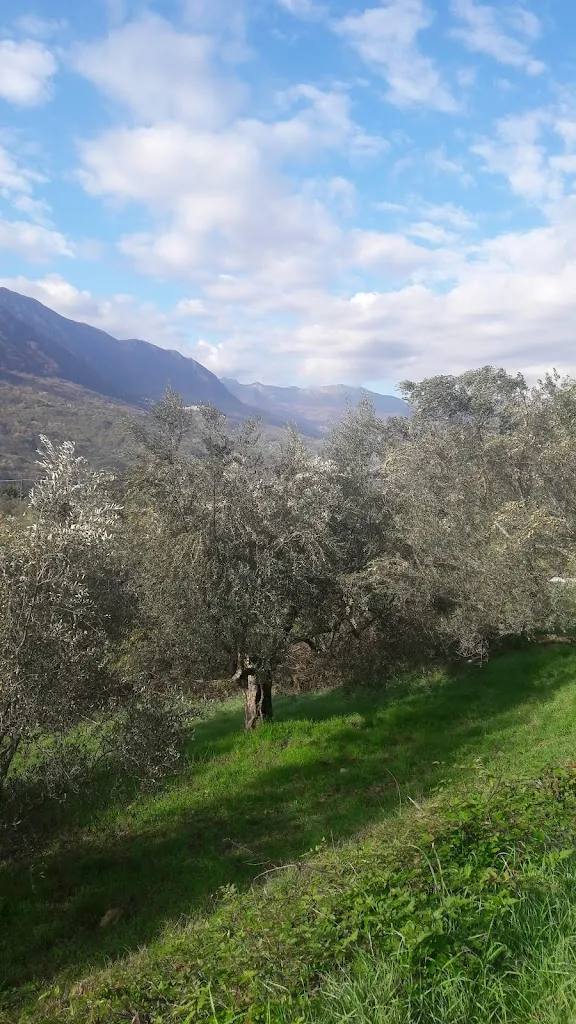 Edoardo Di Cesare_Ristomante_Balsorano Nuovo_recensione