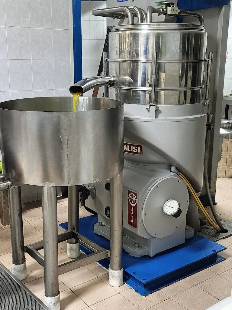 Forno a legna e frantoio oleario 