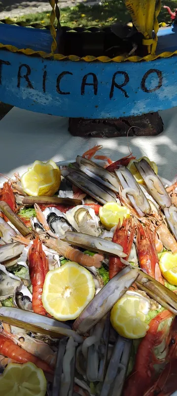 Giardino Fucci Saccavino Braceria Ristopescheria_Forchia_slider_image_1