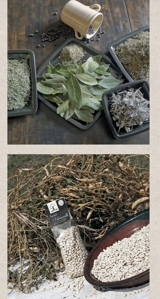 Matteo_Le Radici Del Gusto_Massa d'Albe-Corona_review