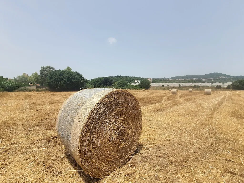 Antica Masseria Sguazzo 1820 Agriturismo_Faiano_slider_image_3
