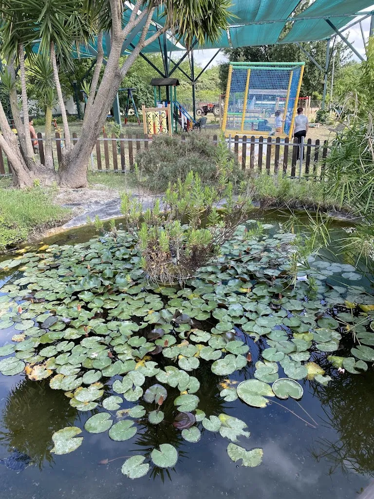 Agriturismo Barone Fortunato_Faiano_slider_image_3