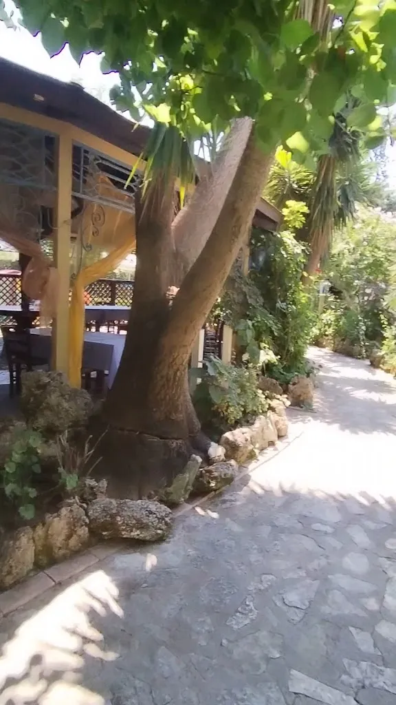 Tenuta Sorvillo_Faiano_slider_image_2