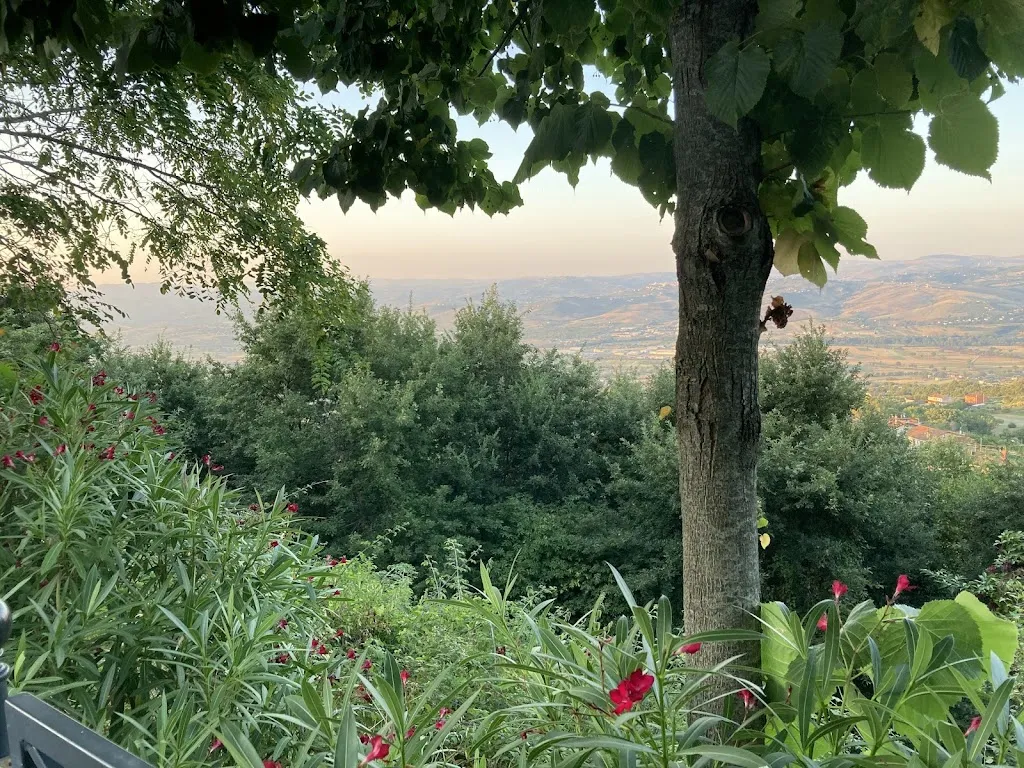 Bogdan Balan_Decanta_Gesualdo_review