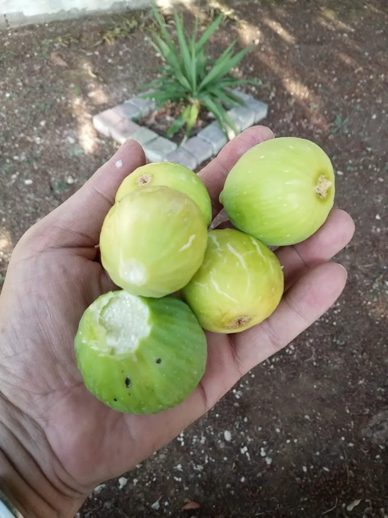 Menu_Trattoria Pizzeria Tre Monti_Giungano_image_1