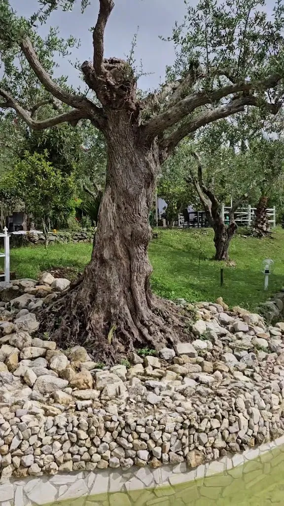 Terrazza Giulia - Agriturismo, Panorama, Sapori_Gioia Sannitica_slider_image_1