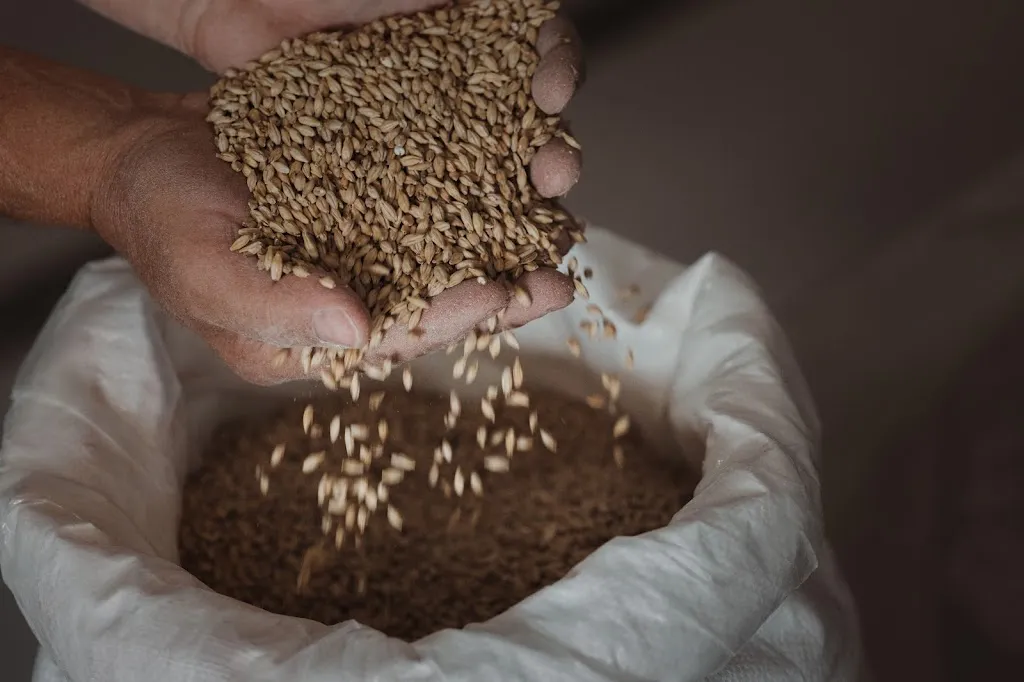 Menu_Birrificio Artigianale Erbanina_Gioia Sannitica_image_6