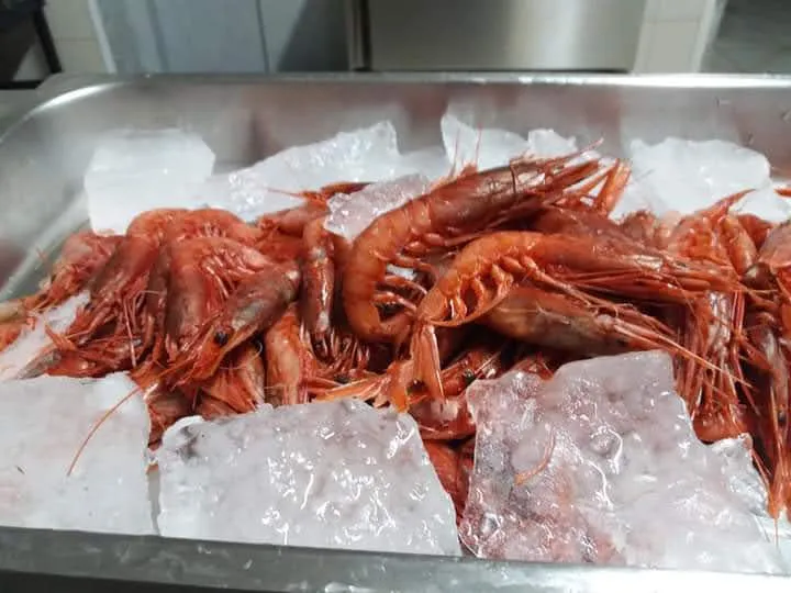 Menu_Osteria Open46_Gioia Sannitica_image_4