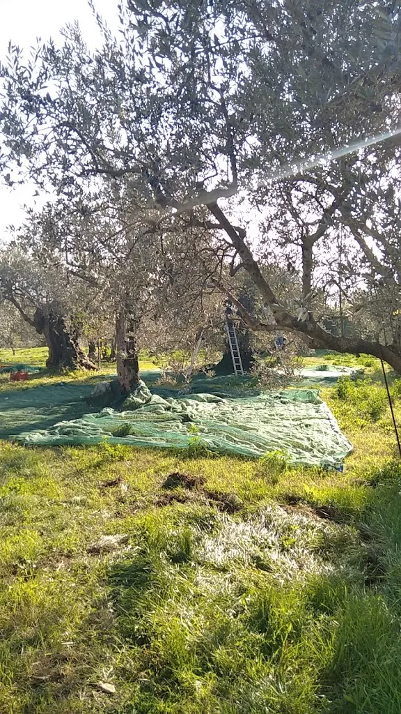 Ristorante Borgo Antico_Gioia Sannitica_slider_image_2