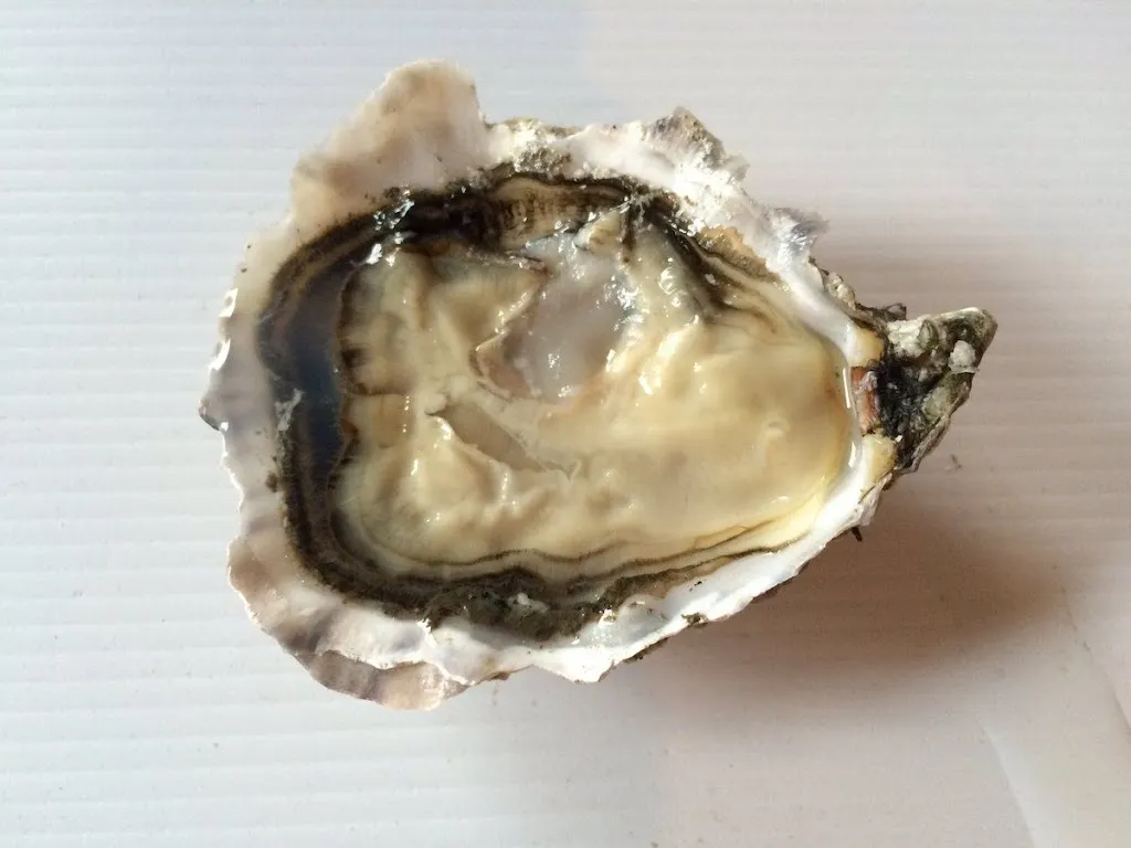 Ebrezza Bistrot Vista Mare_Marina di San Vito_slider_image_3