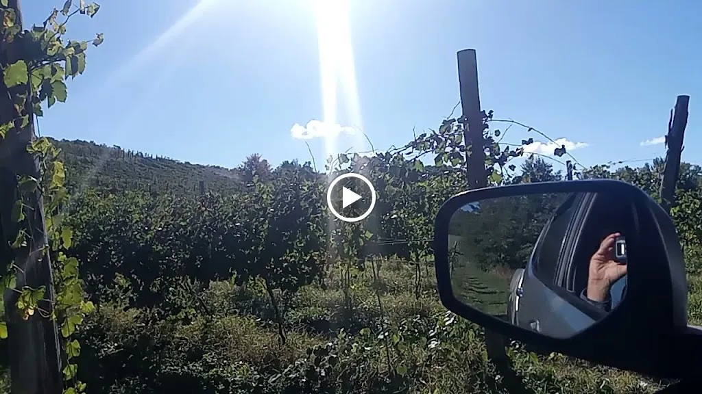 Az.agricola Cinque Quattro Tradizioni locanda irpina_Grottolella_slider_image_2