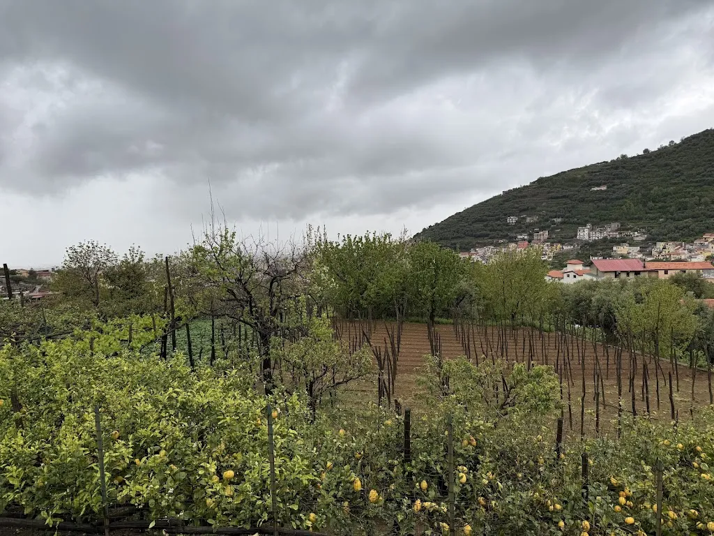 Tim Kruisman_Agriturismo Villa Antica_Gragnano_recensione