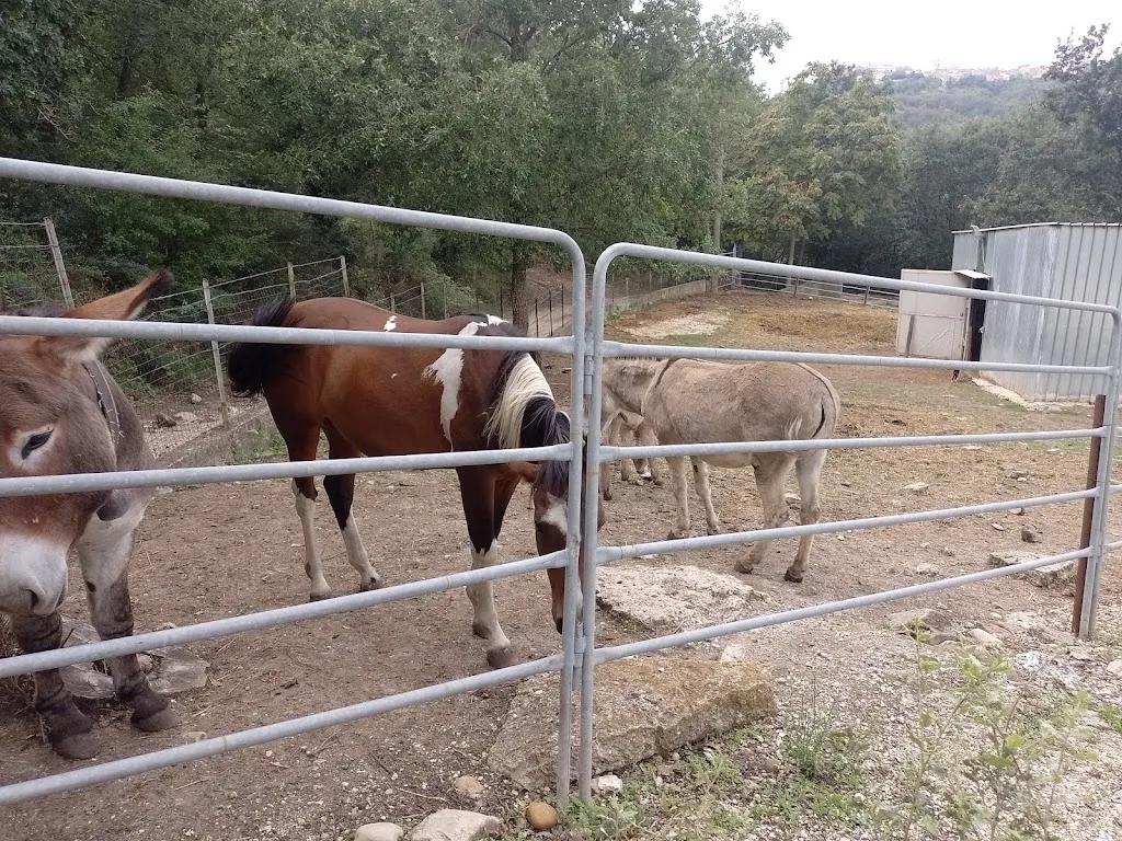 Grazia Mastropietro_Agriturismo “I Due Ponti”_Lacedonia_recensione