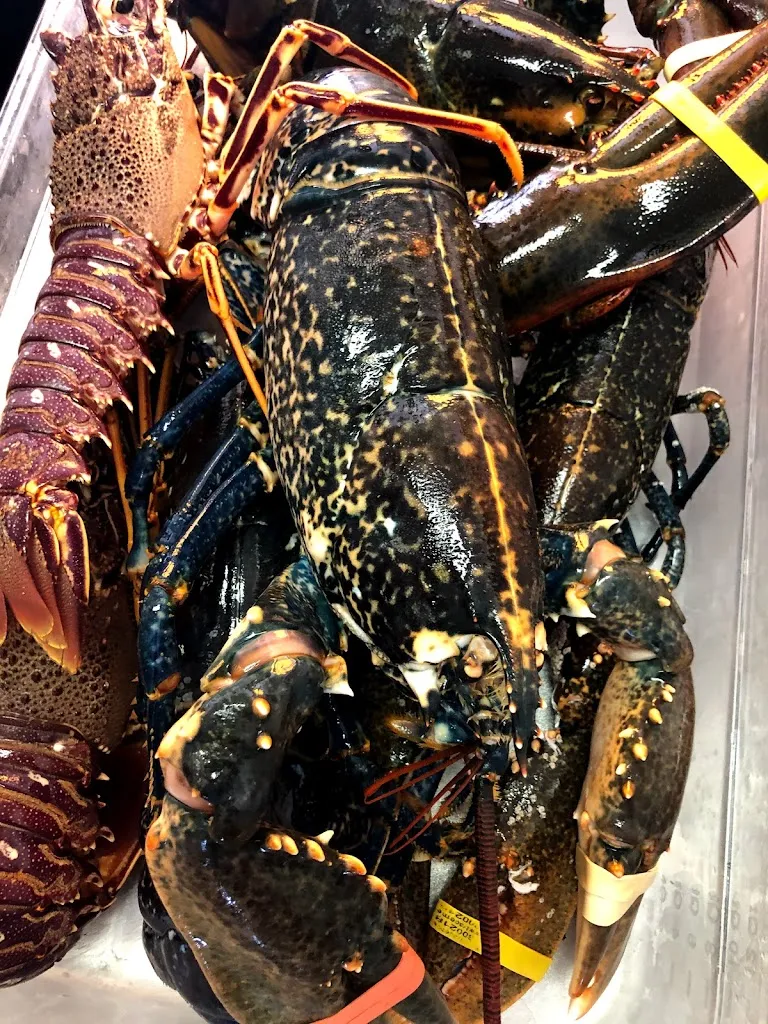 ‘a Paranza Sea Restaurant_Ischia Porto_slider_image_3