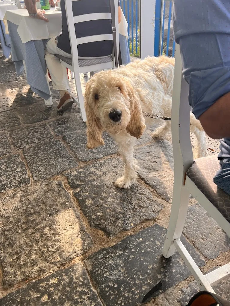 Kellys Kitchen_Restaurant La Baia Del Clipper_Ischia Porto_review