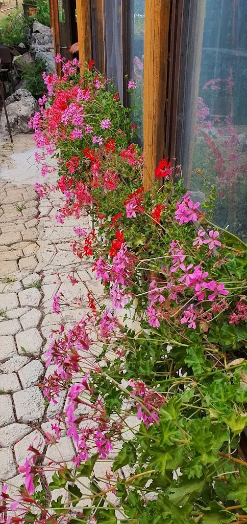 Aniello Stravino_Locanda dai Nonni_Letino_review