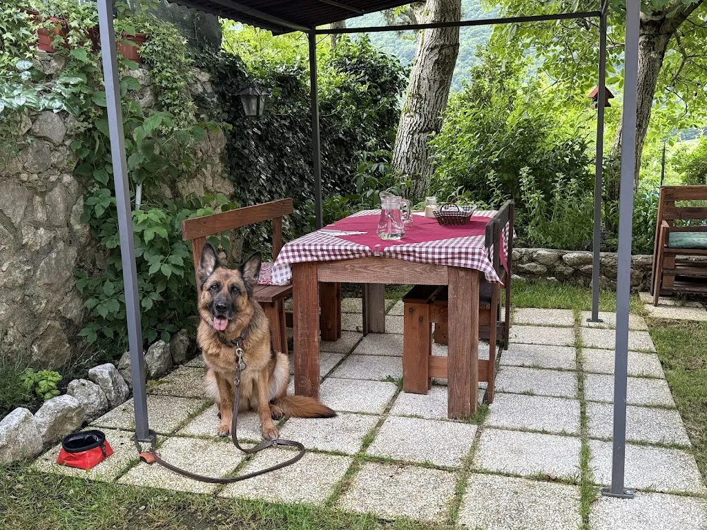 Francesco di Bartolomeo_Il giardino segreto_Letino_review