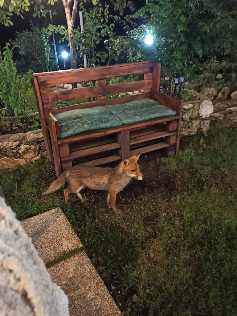 Anna Maria Montini_Il giardino segreto_Letino_review