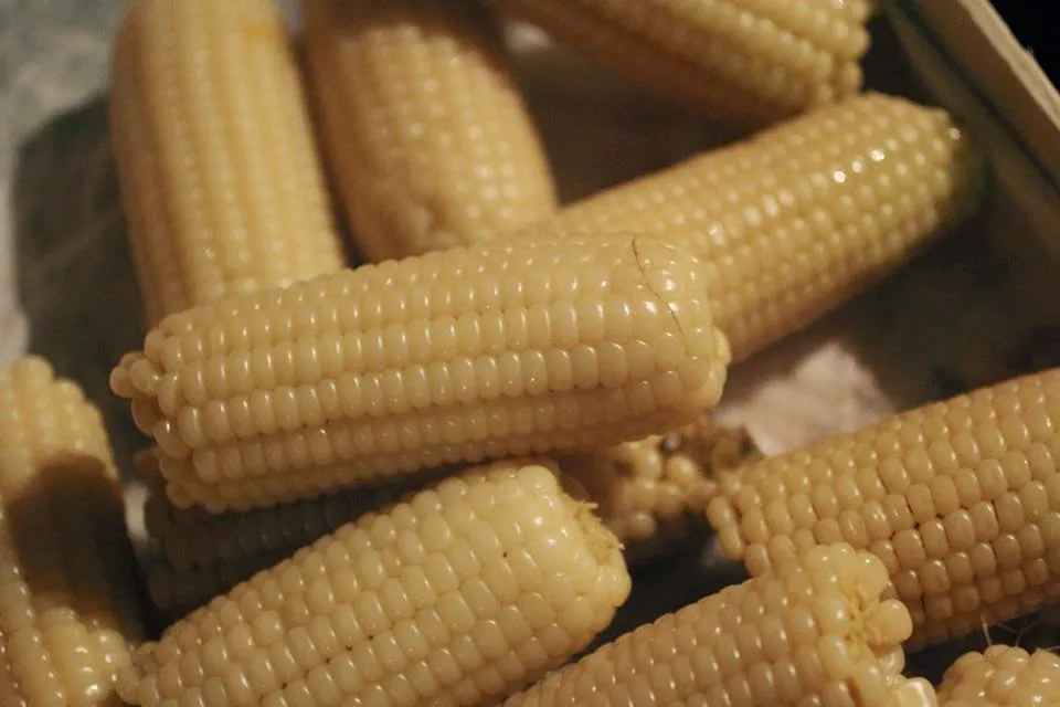 Menu_Nonna Giulia_Lettere_image_2