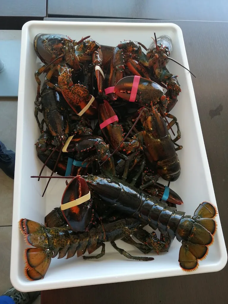 Menu_Il Ritrovo dello Chef_Miglianico_image_9