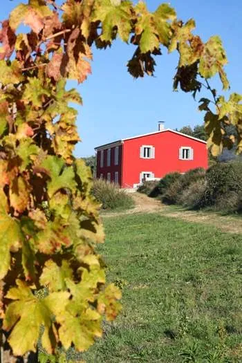 Agriturismo Campoletizia_Miglianico_slider_image_1