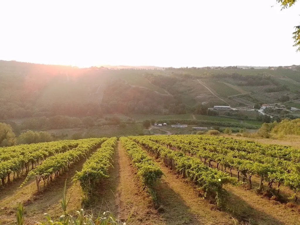 Agriturismo Campoletizia_Miglianico_slider_image_3