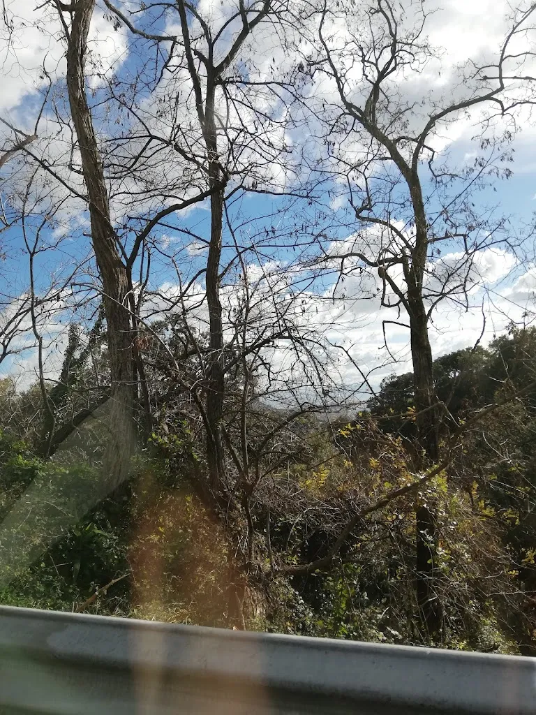 Annalaura Giannantonio _Bar il Muretto_Marina di Casal Velino_review