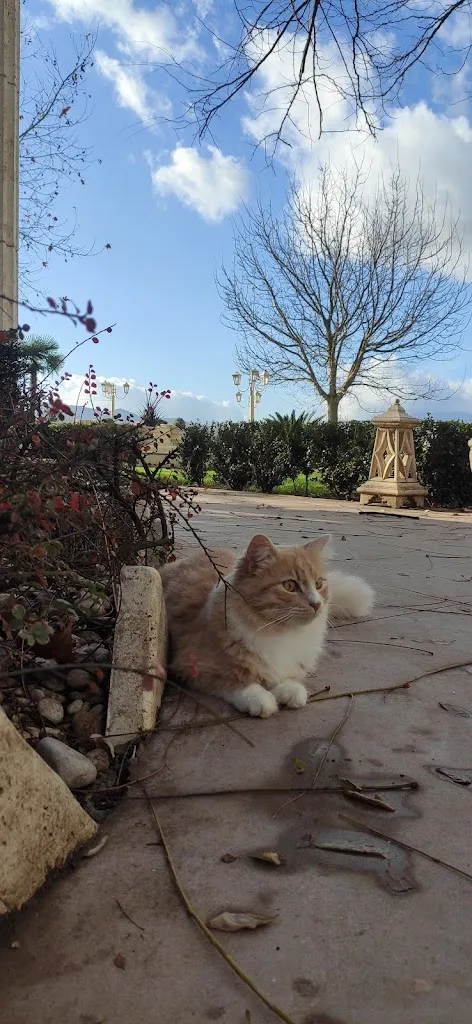 Anastasiia Starodubtseva_Peccati di Gola_Marzano Appio_review