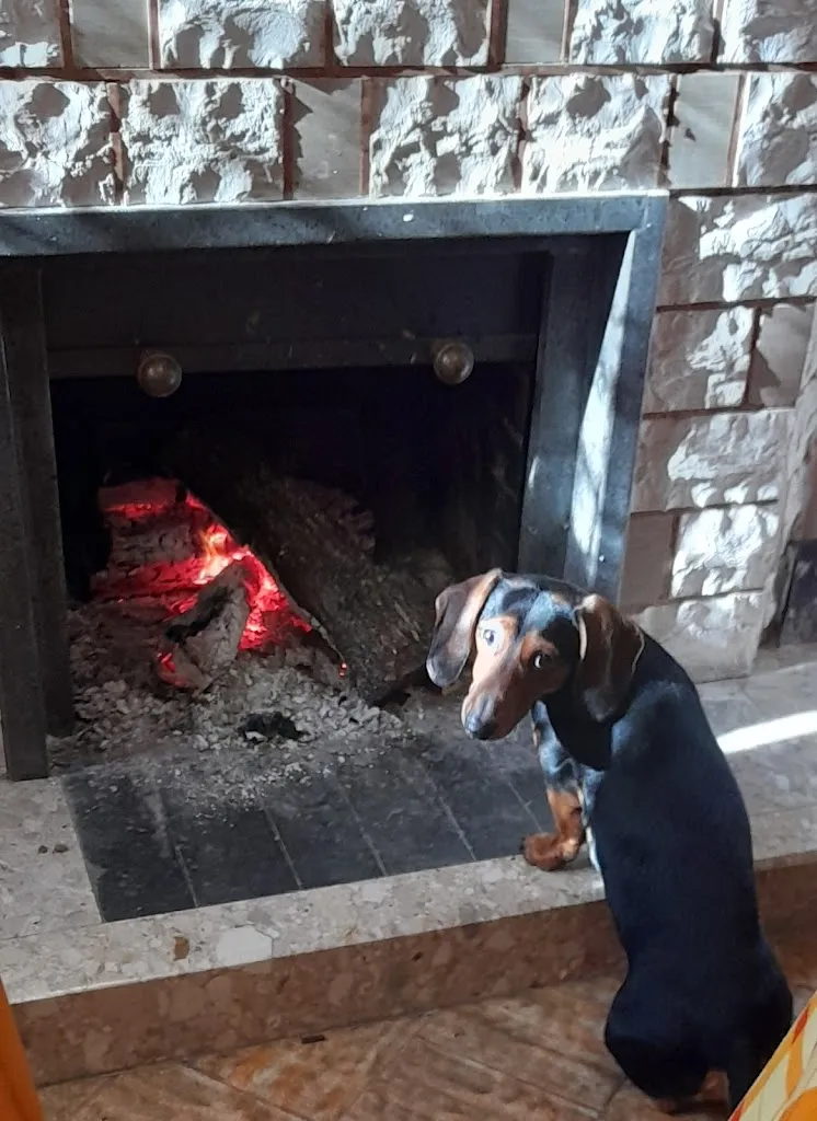 Gianni Spinazzola_Trattoria Di Pietro Crescenzo_Melito Irpino_review