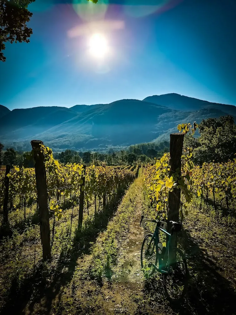 De Rosa Caffetteria_Maddaloni_slider_image_3