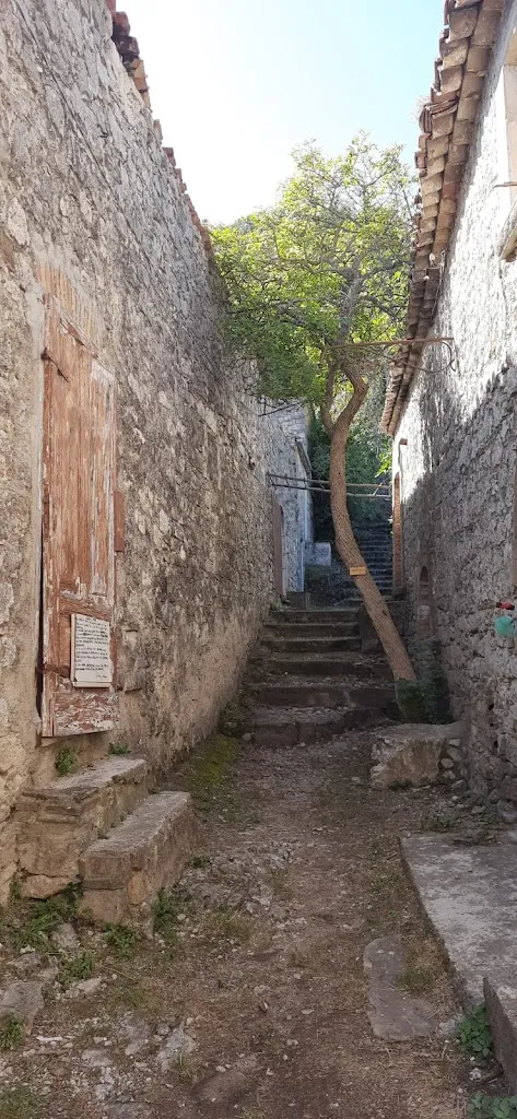 Simona Perfumo_Buonanotte vecchio_Montebello sul Sangro_review