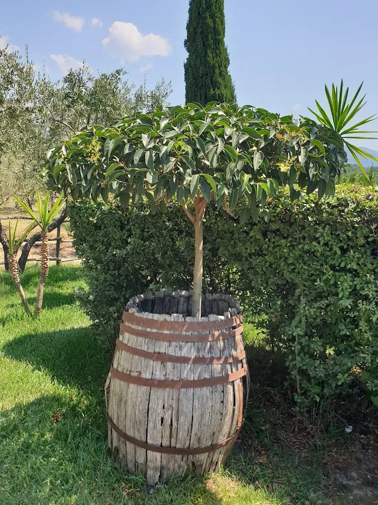 Agriturismo Civitella_Moio della Civitella-Pellare_slider_image_1