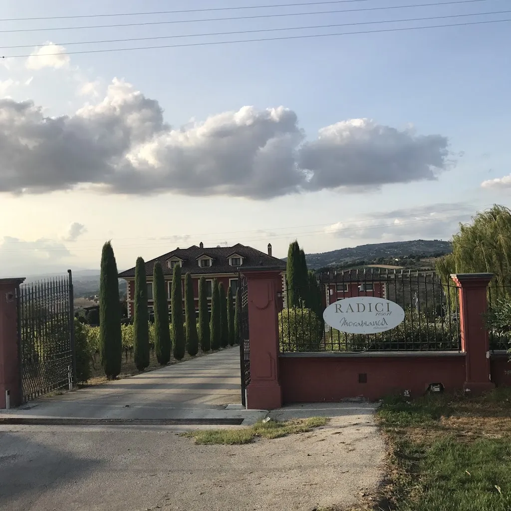 Izumi HAYASHI_Morabianca_Mirabella Eclano_recensione