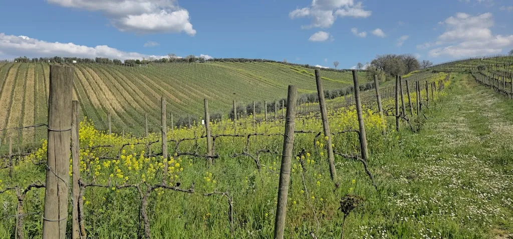 Mauro Limone_La Tana del Lupo Osteria_Mirabella Eclano_review