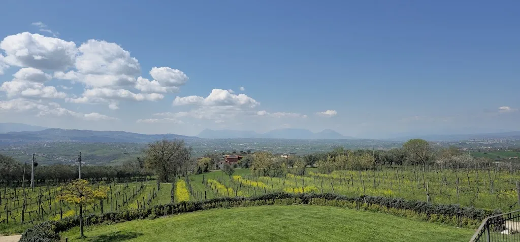 La Tana del Lupo Osteria_Mirabella Eclano_slider_image_3