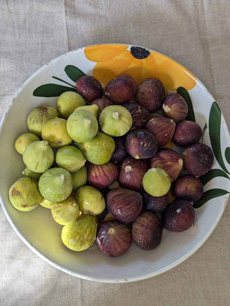 Menu_Squasarìa_Montecorice_image_8