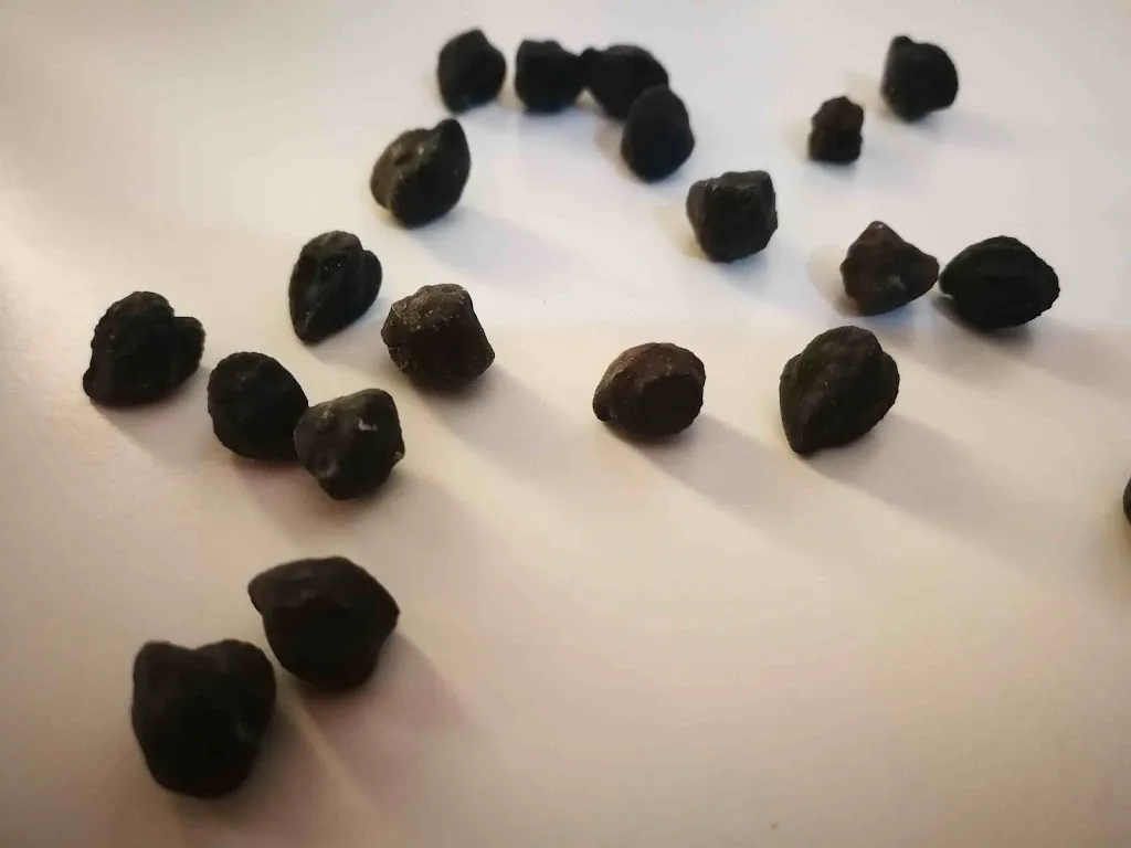 Menu_Ristorante Paisà. Cibo e Ospitalità._Montecorice_immagine_2