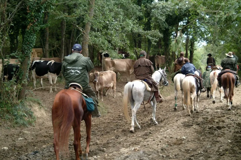 Agriturismo l'Antico Feudo_Montecalvo Irpino_slider_image_1