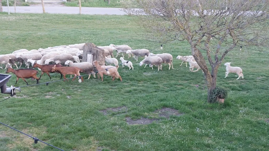 Fabiano Forini_Agriturismo Le Bolle_Montecalvo Irpino_recensione