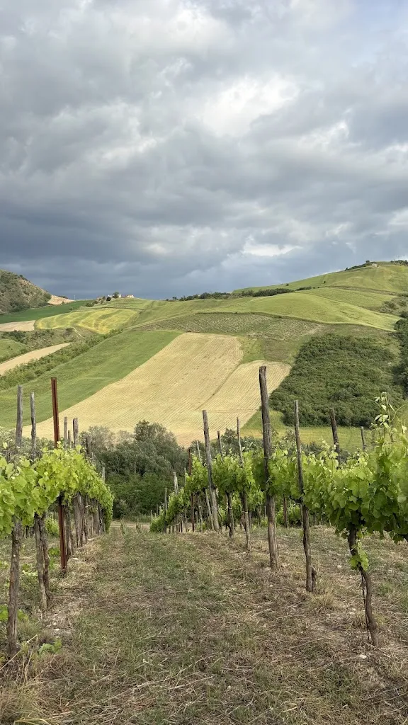 Cercle Petit_Agriturismo Il Torchio_Montecalvo Irpino_recensione