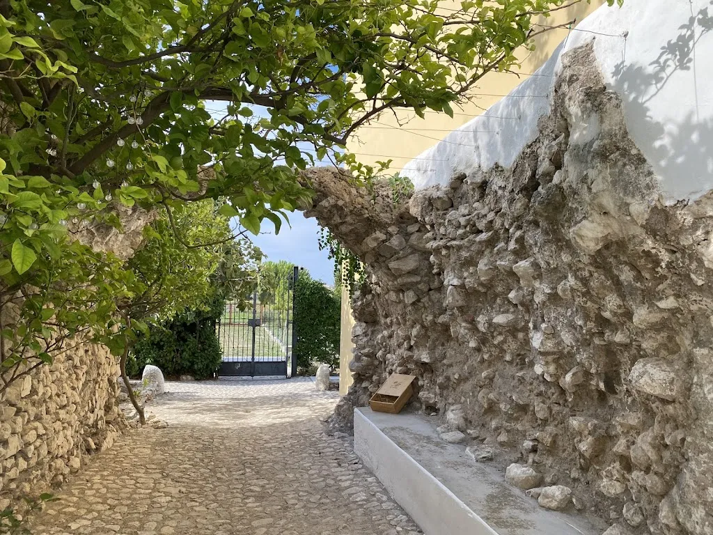 Jacob Finkel_Villa Petrinum_Mondragone_recensione