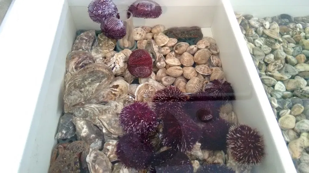 Menu_Ristorante La Venere_Mondragone_image_1