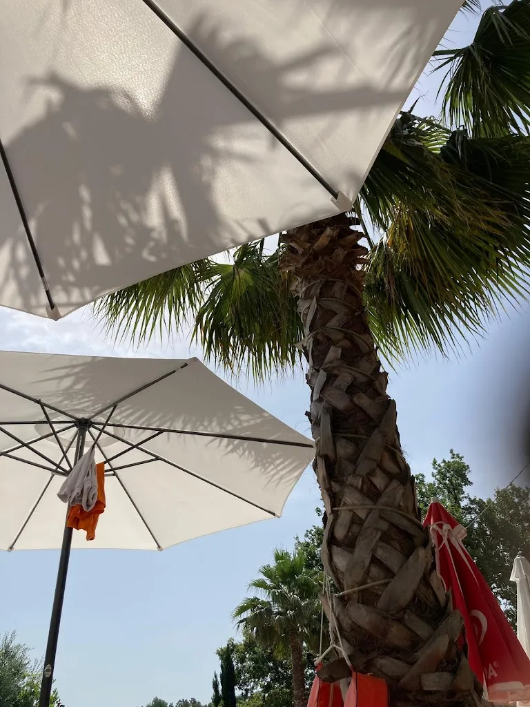 Irma DF_Ristorante Le Parisien Fattoria Didattica_Montecorvino Pugliano_review