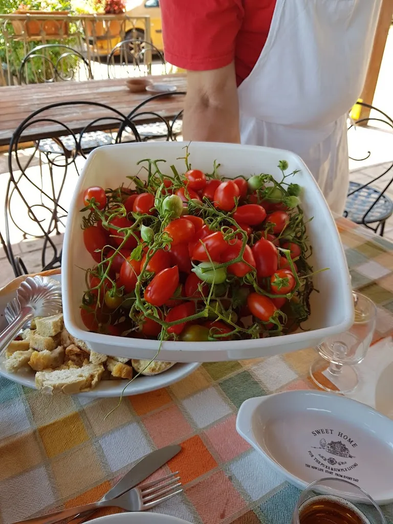 Andrea Ambrosino_Agriturismo La Magione Del Capitano Vincenza_Montecorvino Pugliano_recensione