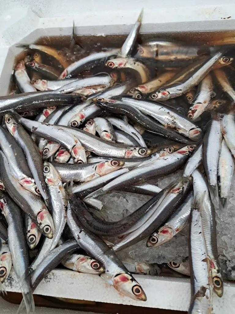 Menu_Ristorante Enoteca 