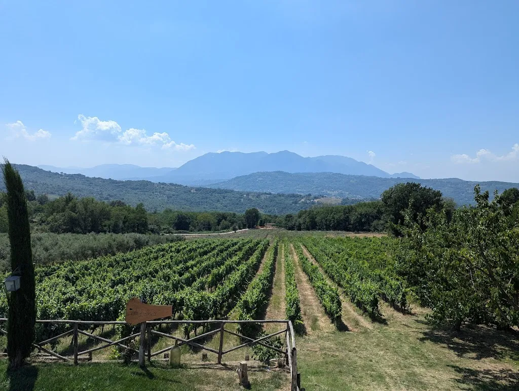 The Yorkshire Chef_Agriturismo Tenuta Miglialo_Montefalcione_review