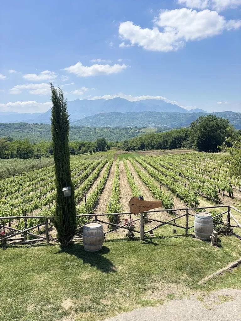 Fabrizio Mauro_Agriturismo Tenuta Miglialo_Montefalcione_review