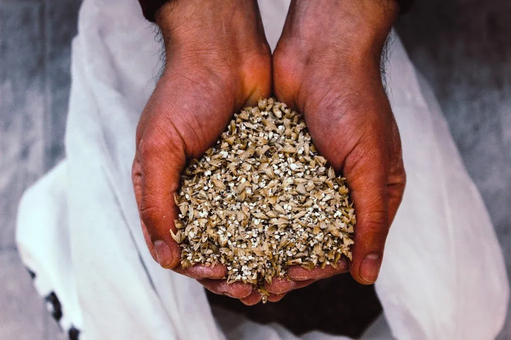 Menu_Birrificio Partenia_Montefusco_image_8